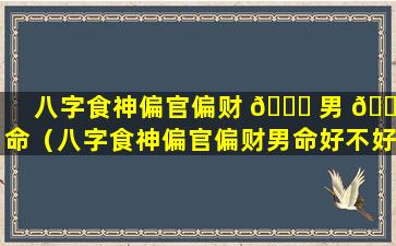 八字食神偏官偏财 💐 男 💐 命（八字食神偏官偏财男命好不好）